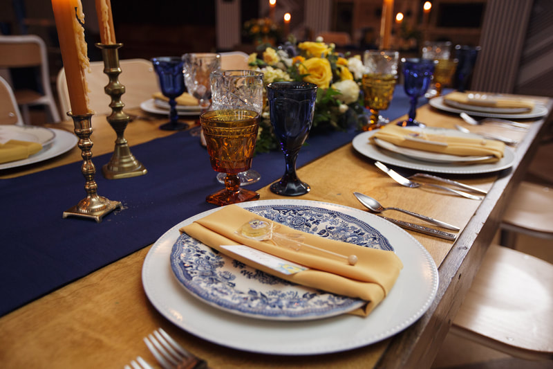 Blue and white dish rentals Crystal Lake IL