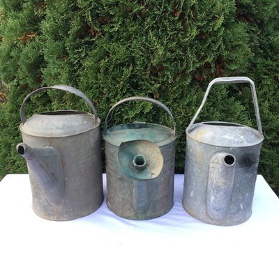 Vintage watering cans for rent used for flowers