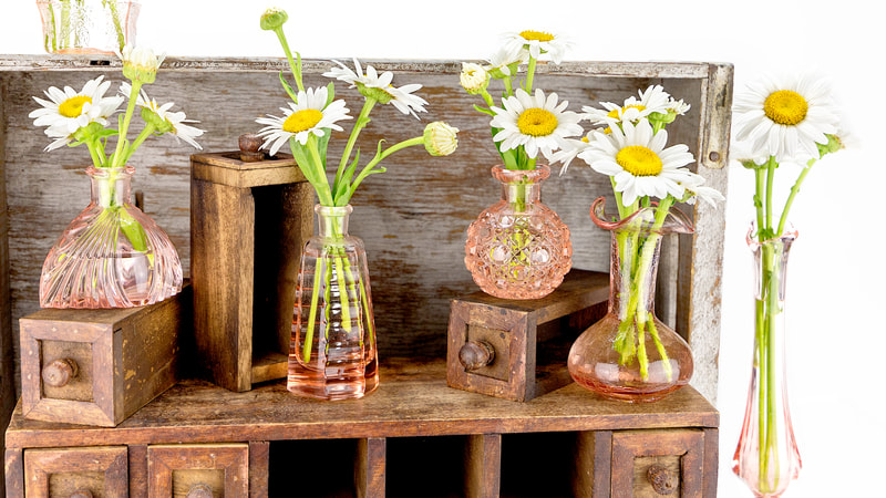 Vintage blush vases with daisies on wood risers